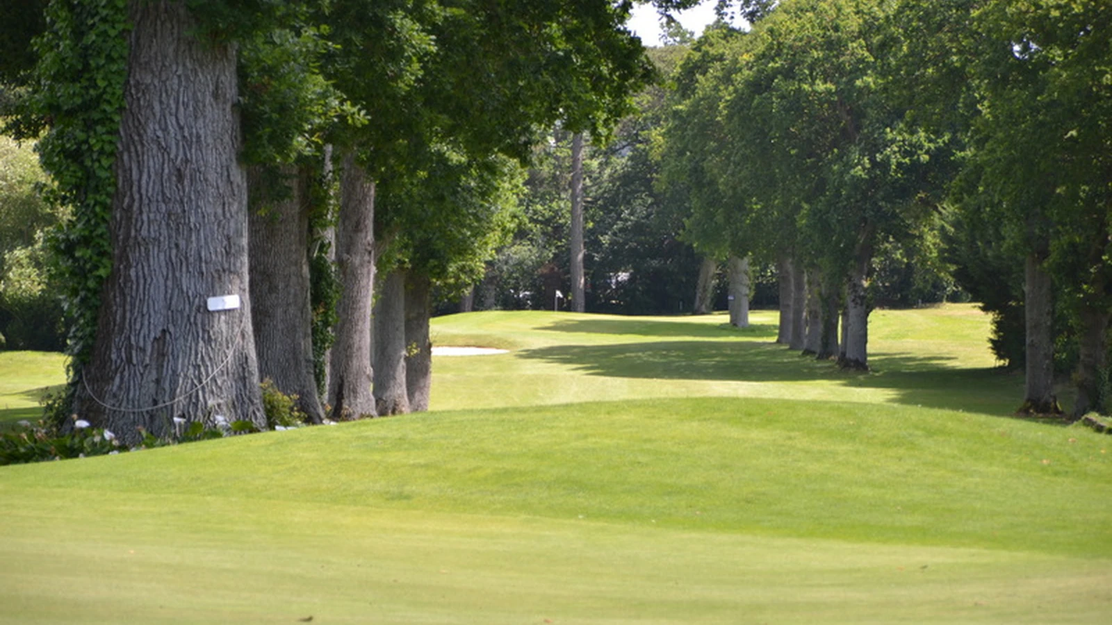 Fairway arboré, green et bunker du golf de La Crinière.