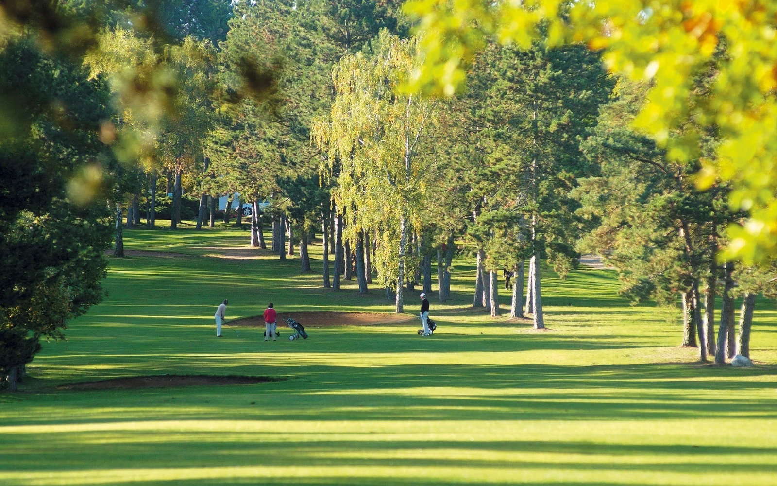 Vue du parcours bordé d’arbres, avec un fairway et des greens dans un paysage boisé. — Country Club Norges Dijon Bourgogne