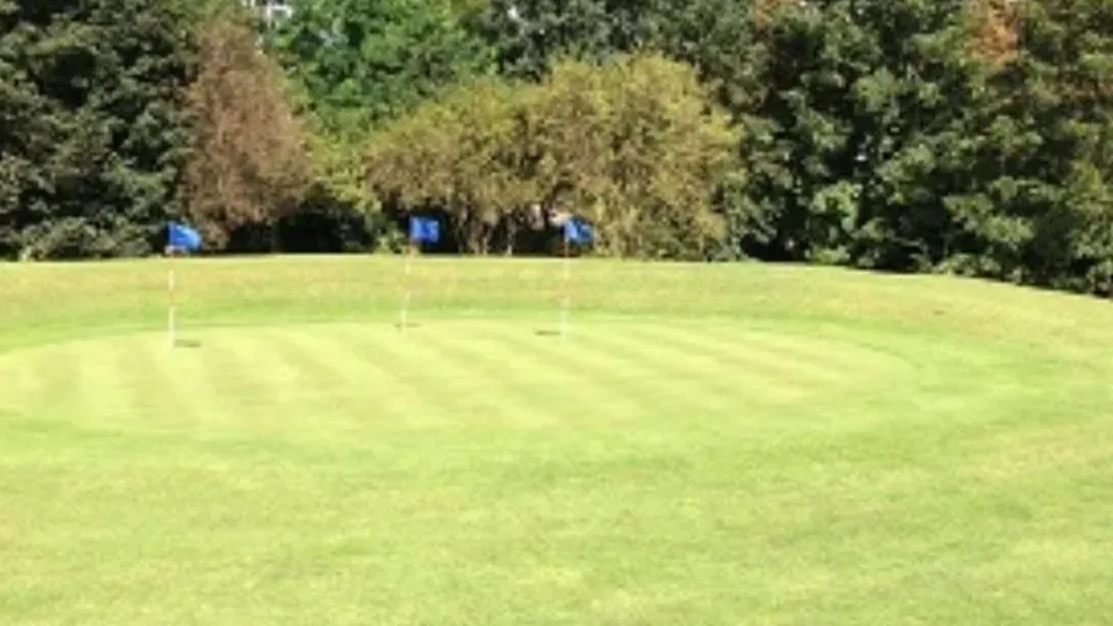 Green d’entraînement avec plusieurs drapeaux au Daily Golf de Saint-Ouen-l’Aumône.