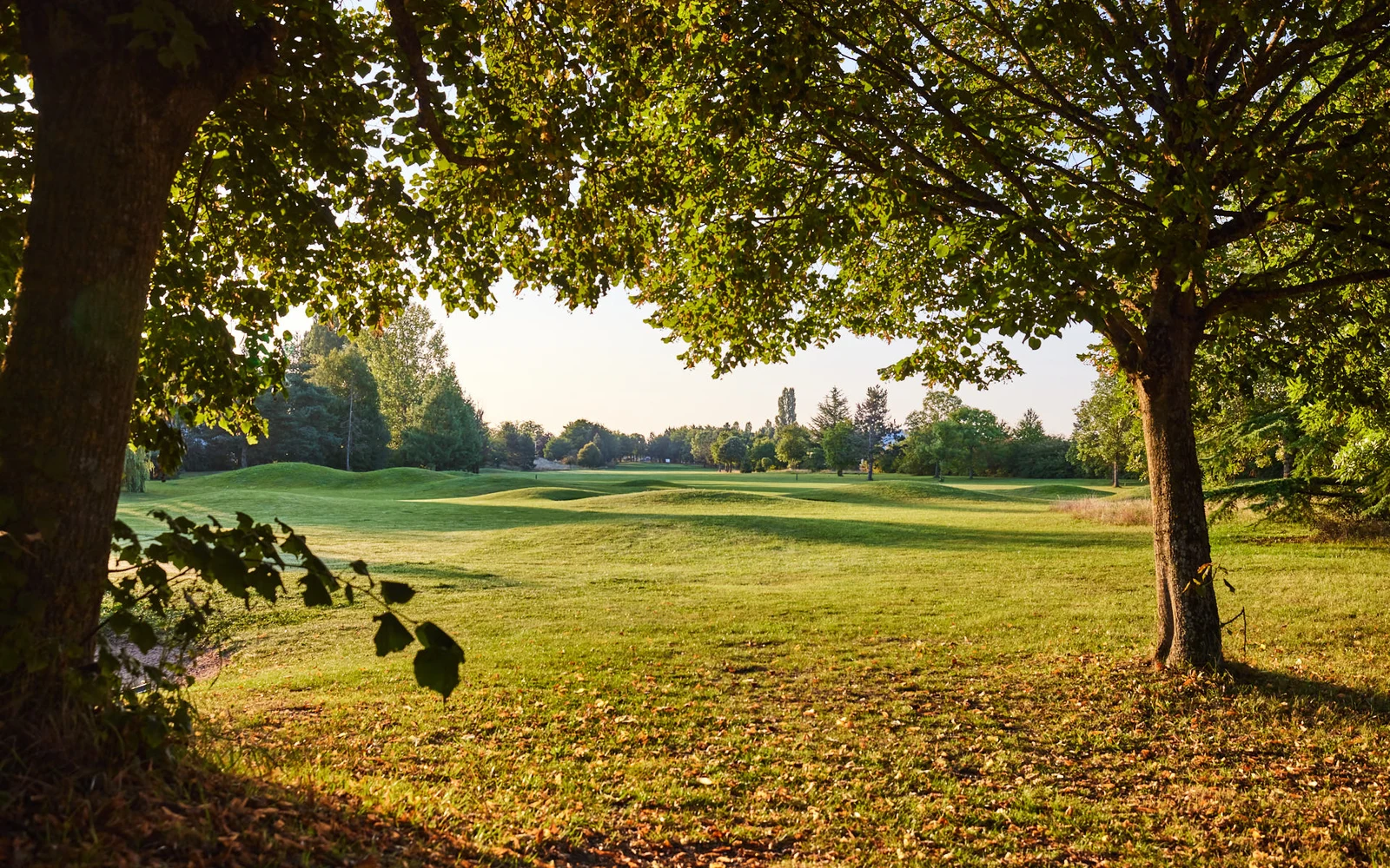 Vue du parcours encadrée par des arbres, avec une étendue de gazon au centre. — Golf Bluegreen Quétigny Grand Dijon