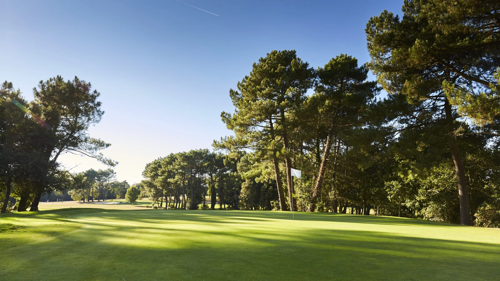 Green et drapeau bordés de pins au Golf Bluegreen Saint-Laurent à Ploemel.