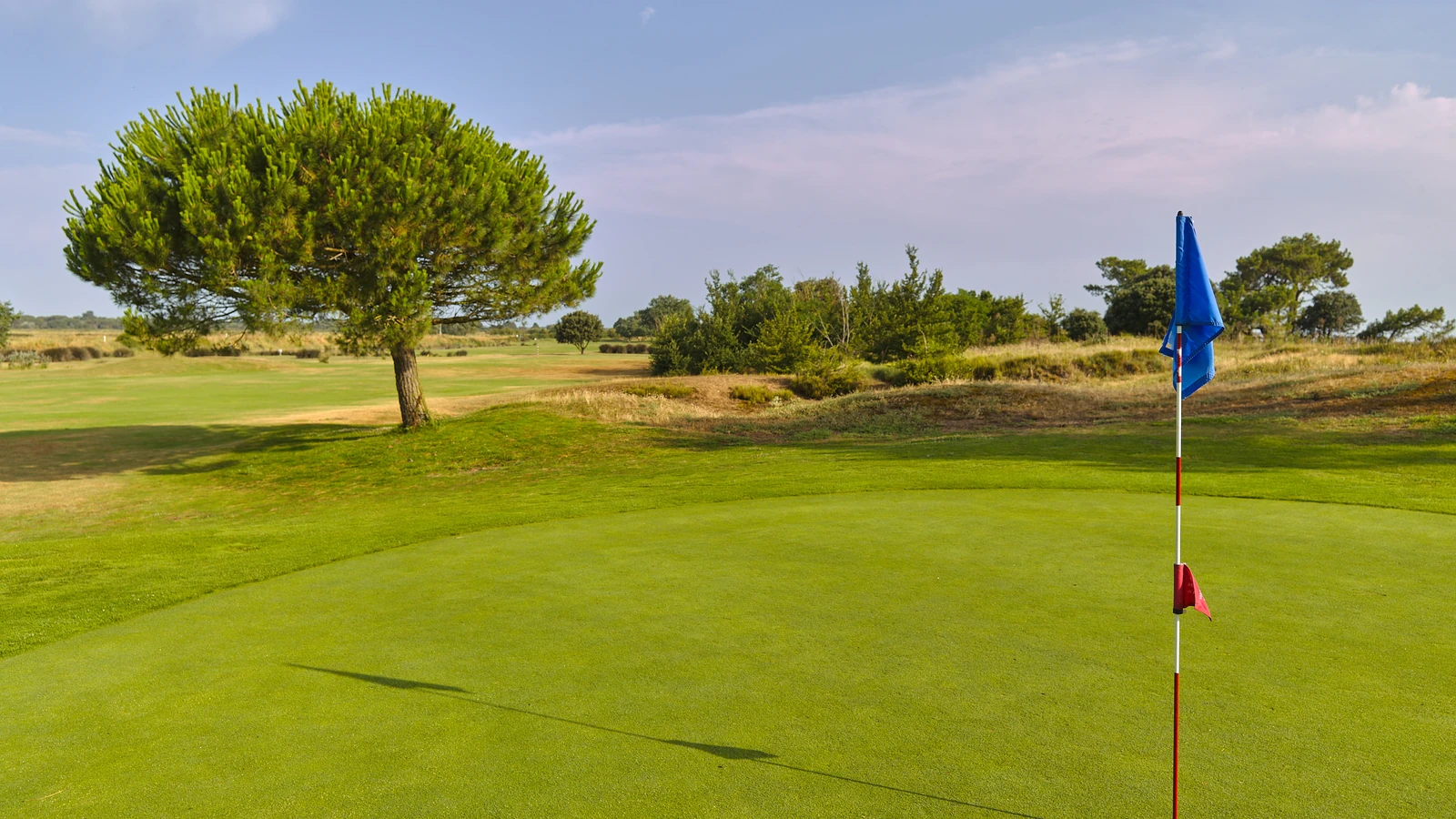 Green avec drapeau bleu et fairway bordé d’arbres au Golf Club d’Oléron.
