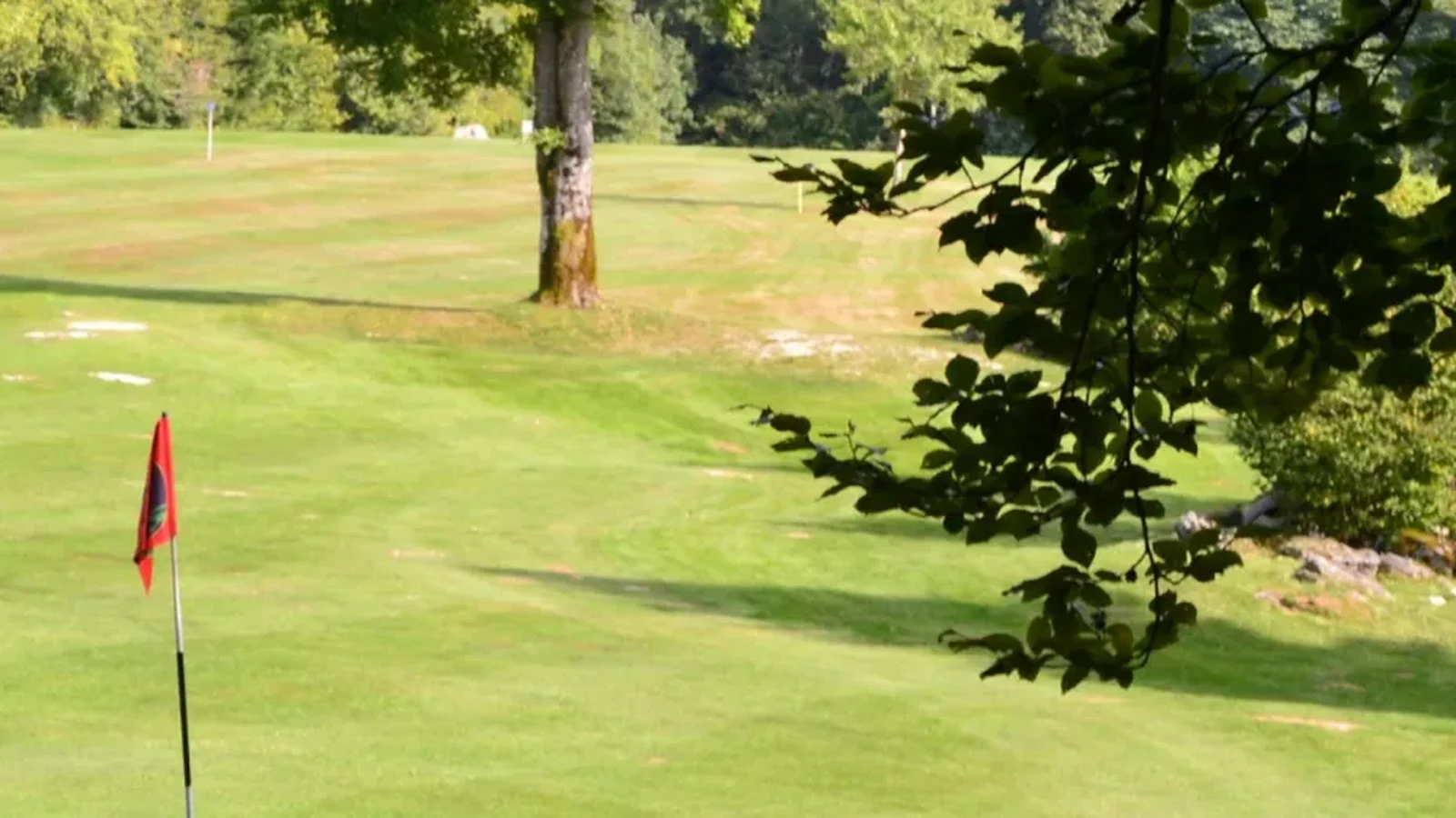 Green avec drapeau rouge, fairway et arbres ; branche au bord supérieur, green préservé. Photographie finale inspectée sur la planche contact : pas de texte superposé ni filigrane visible ; recadrage non destructif et sujet golf représentatif. Identité exacte étayée par la page officielle, non inférée des pixels seuls. — Golf de Pontarlier