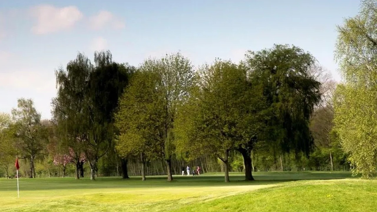Green et drapeau rouge du Golf de Thumeries-Moncheaux, bordés de grands arbres.