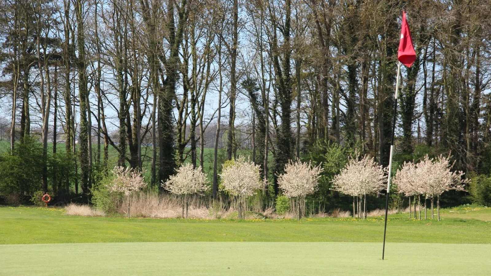 Green et drapeau du Golf d’Arnouville bordés d’arbres en fleurs.