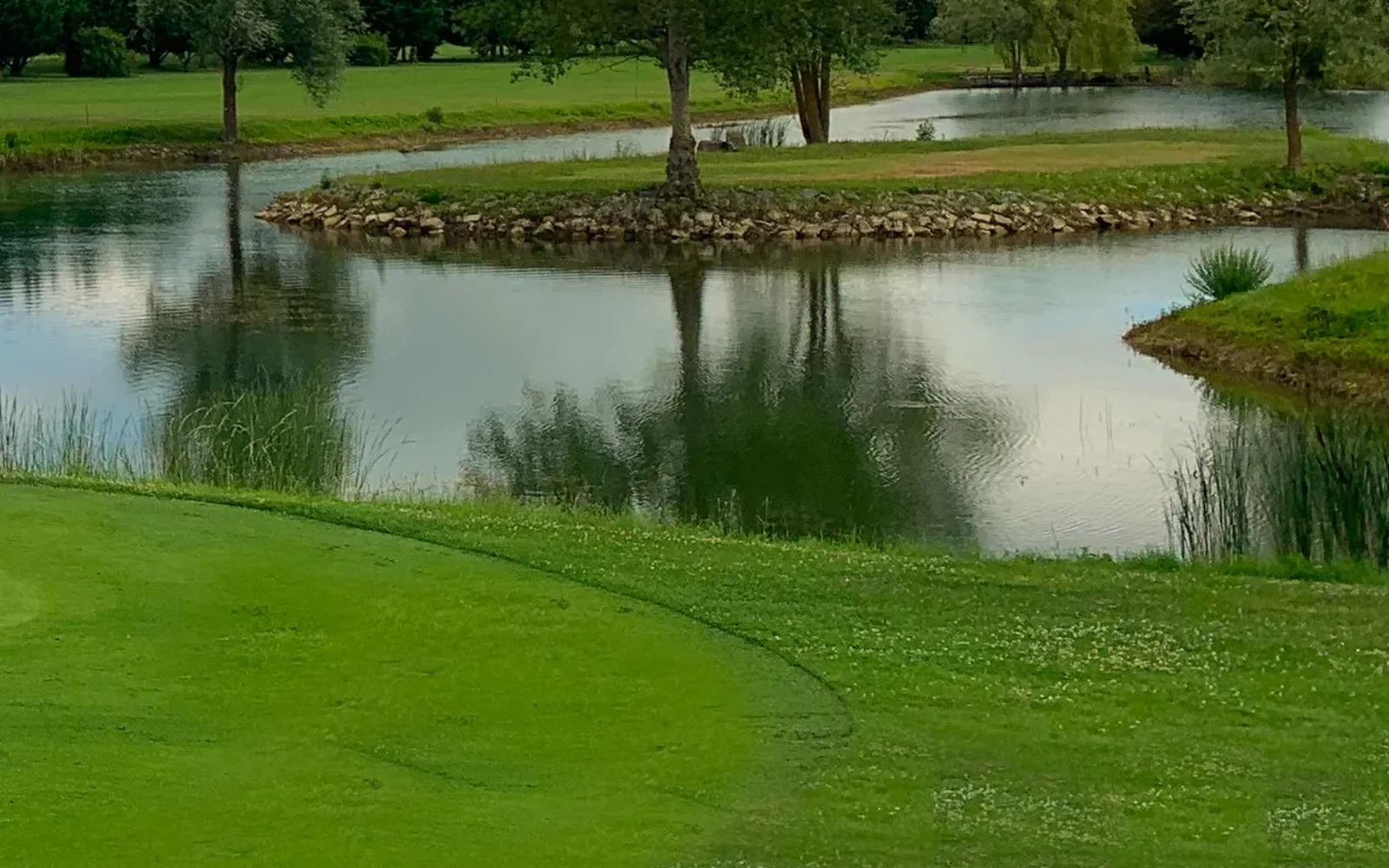 Green au premier plan et plan d’eau bordé d’arbres. — Golf de Beaune Levernois
