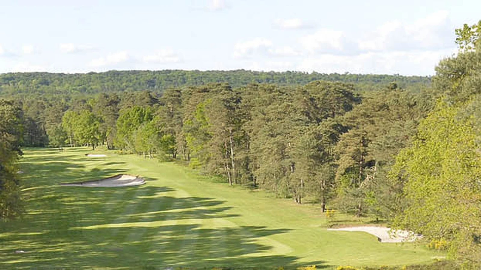 Fairway du Golf de Fontainebleau bordé par la forêt et ponctué de bunkers.