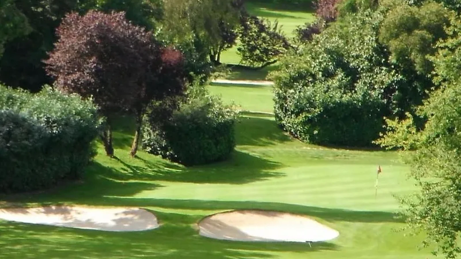Green encadré de bunkers et d’arbres au Golf de Fourqueux.