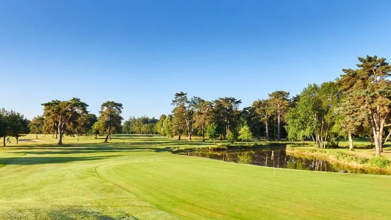 Green bordé d'un étang et de pins au Golf de la Baie de Saint-Brieuc.