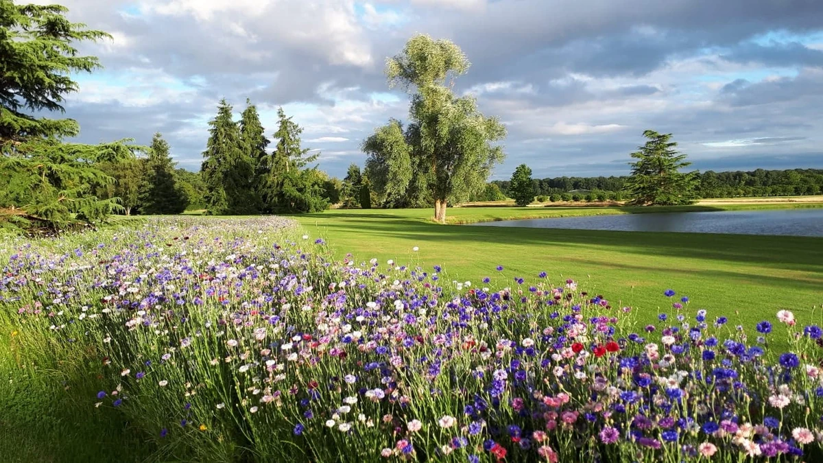 Green/drapeau, massif fleuri, plan d’eau. — Golf de la Bosse