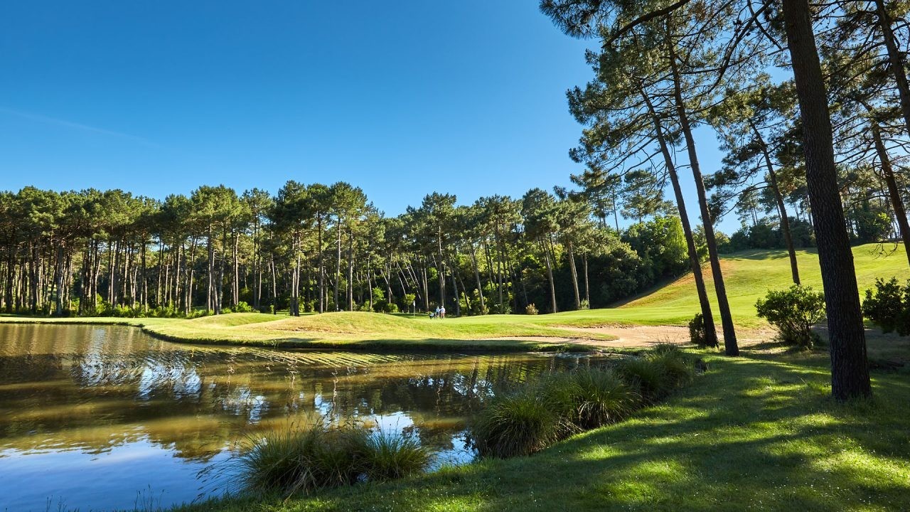 Green près d’un plan d’eau, avec pins et relief boisé au Golf de la Méjanne.