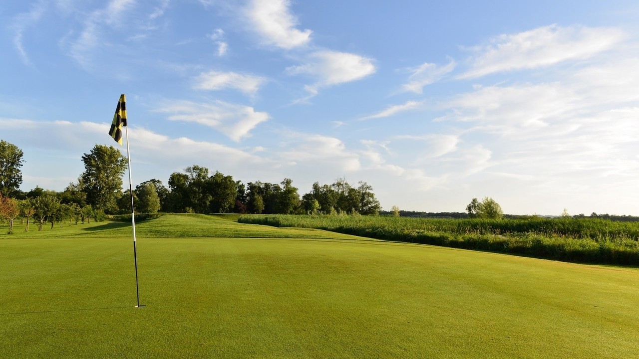 Green et drapeau devant les arbres et la végétation du domaine au Golf de Margaux.