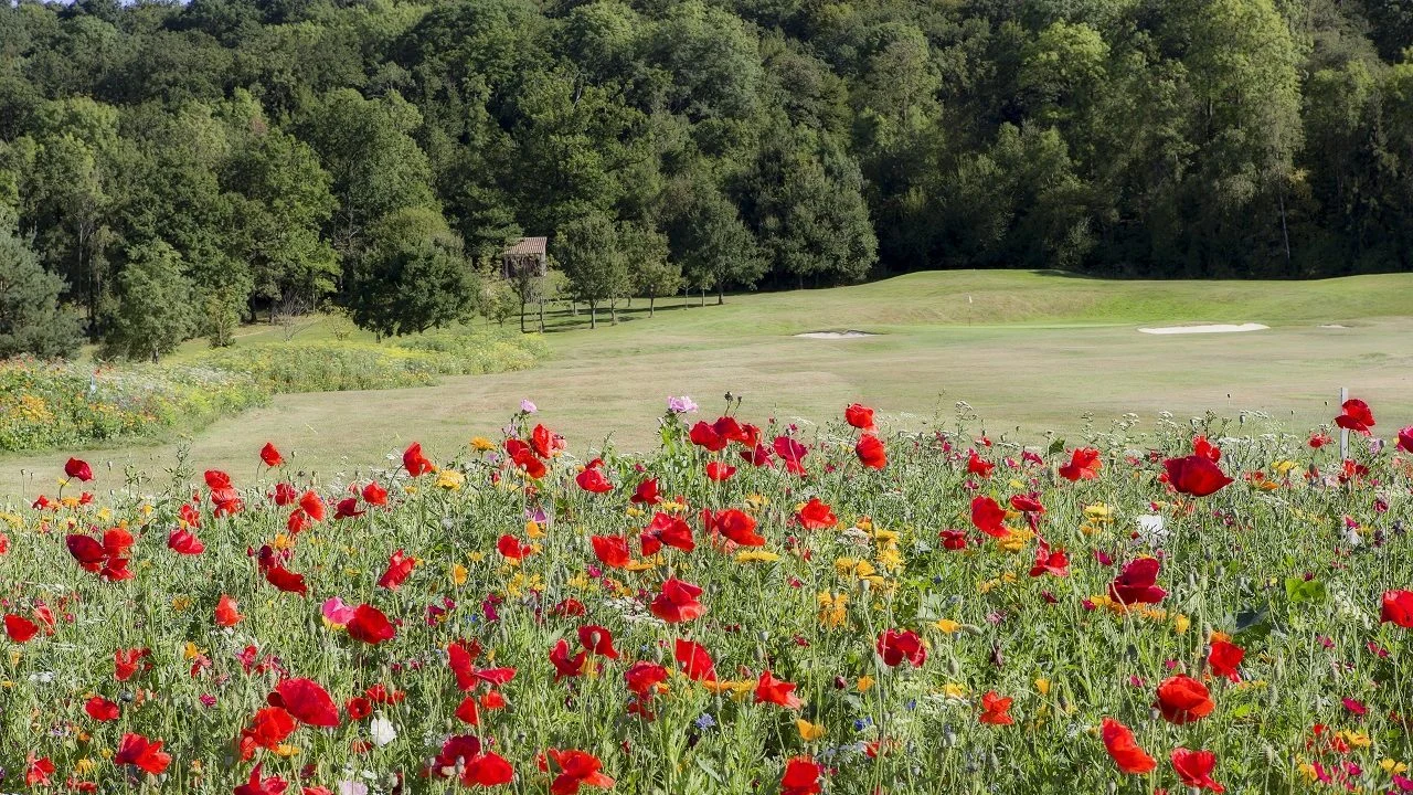 Photographie officielle — Golf du Grand Nancy-Pulnoy