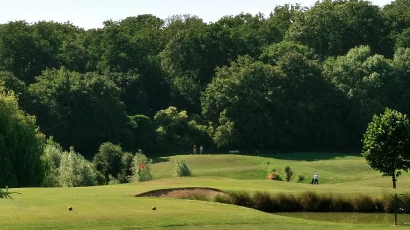 Green vallonné et boisé du Golf de Noisy-le-Roi.