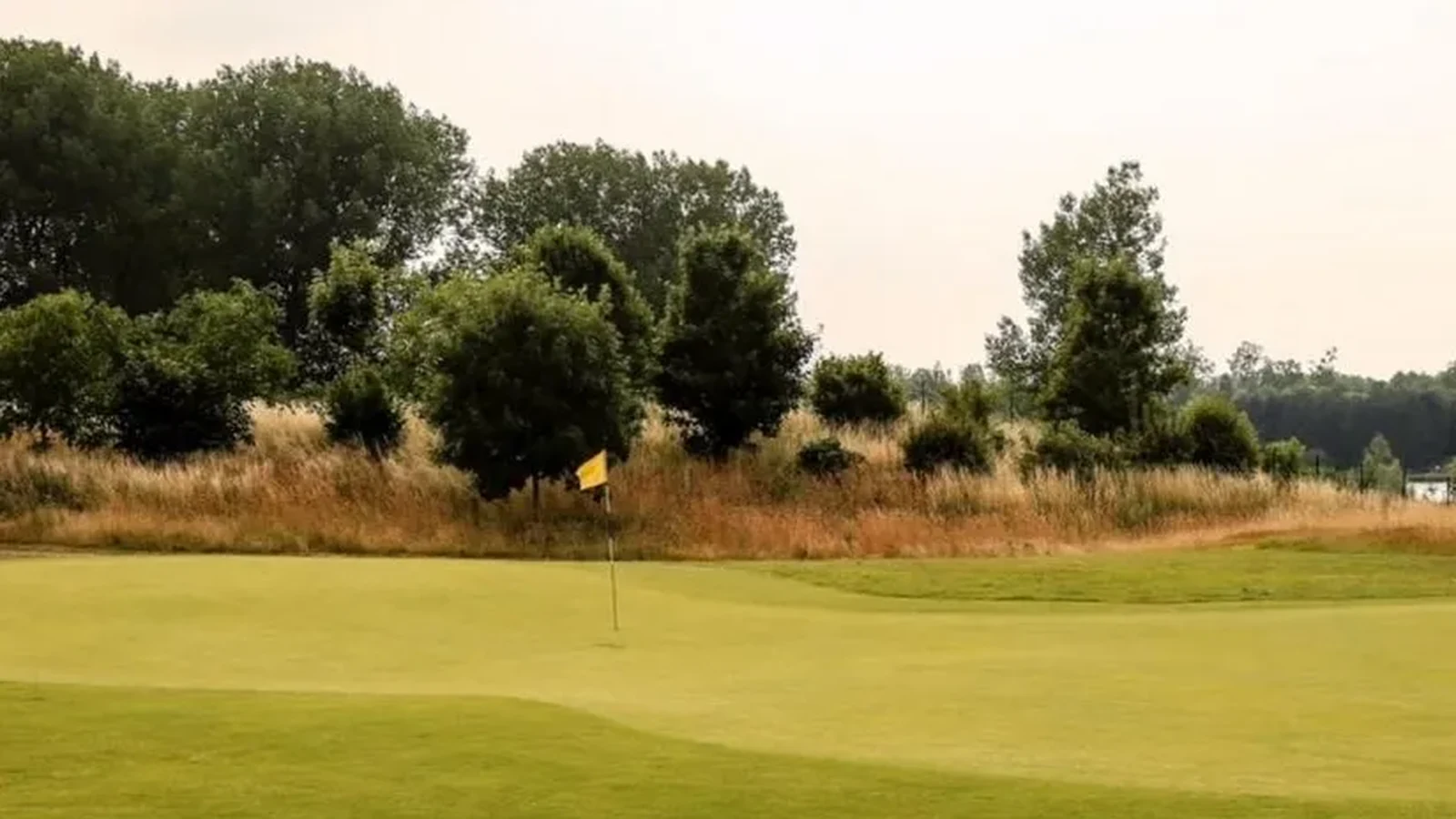 Green avec drapeau du Golf de Torcy dans un paysage arboré.
