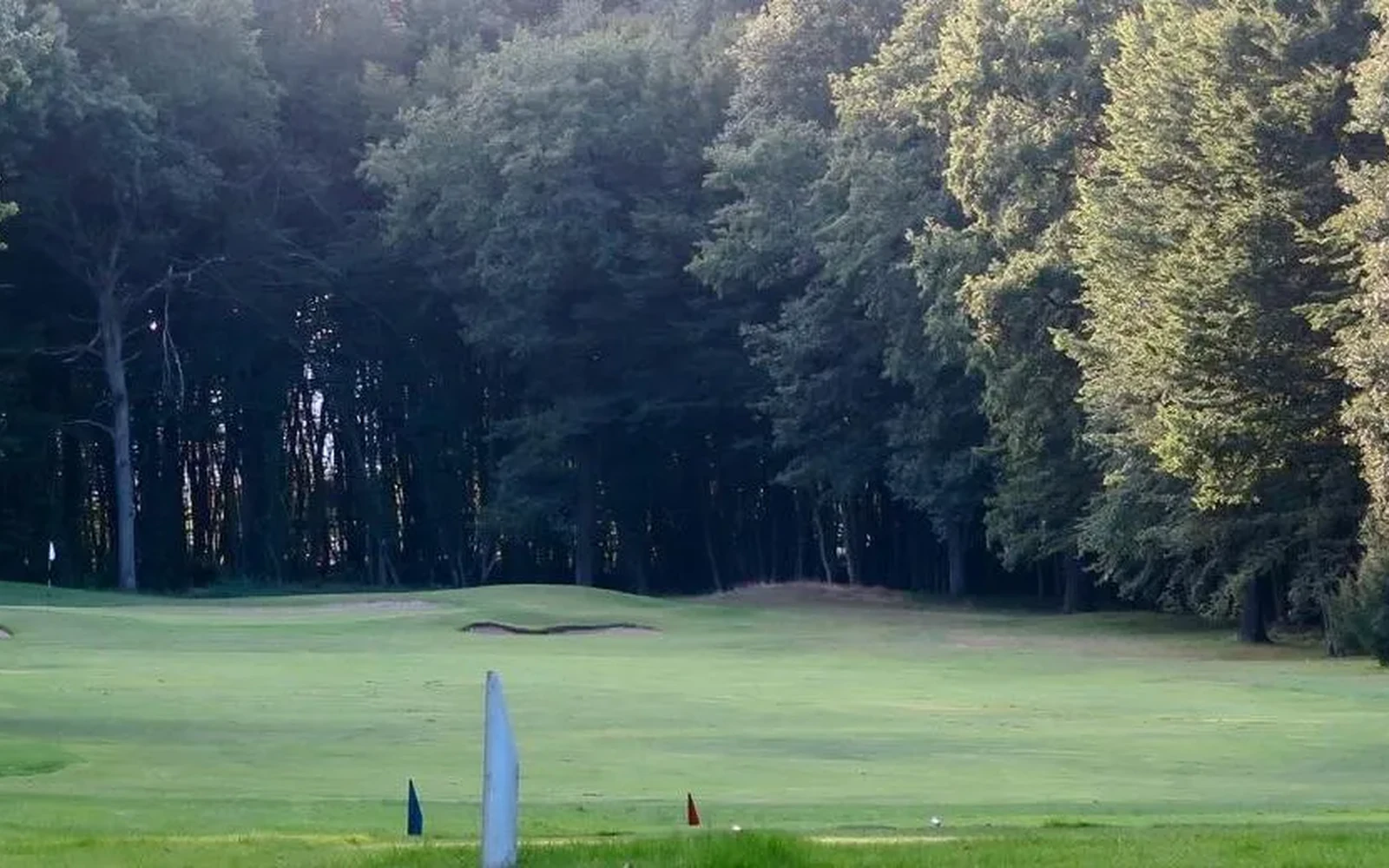 Vue d’un green avec son drapeau devant une lisière boisée. — Golf du Château d’Avoise