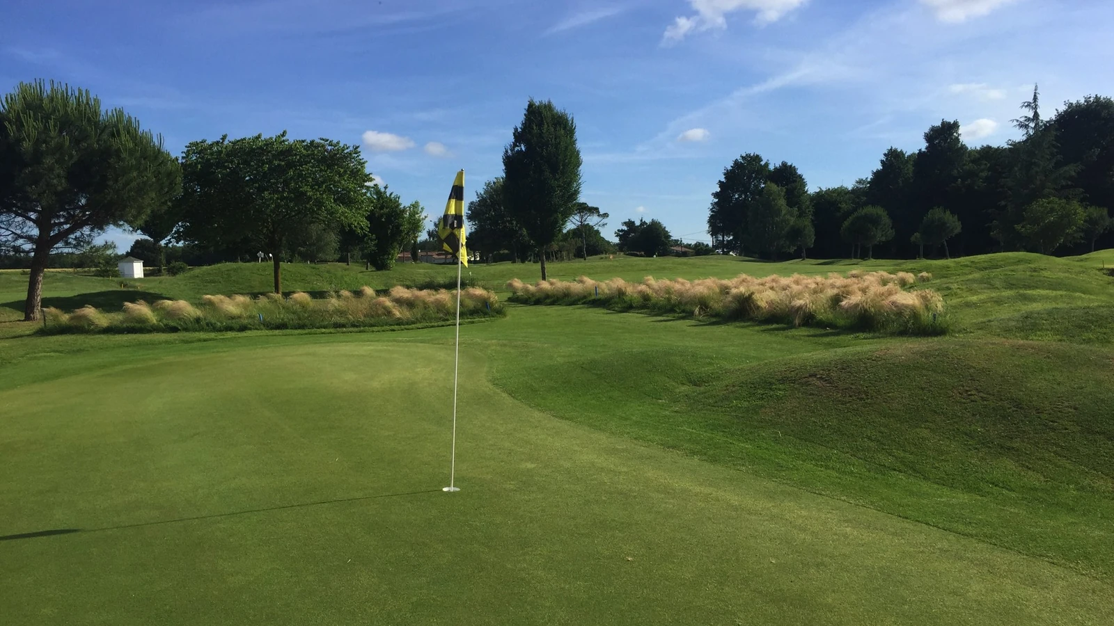 Green avec drapeau et arbres au Golf du Château de la Vallade.