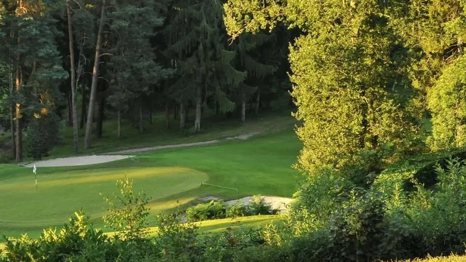 Green entouré de forêt au Golf du Château de Rochefort.