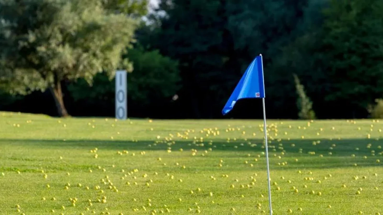 Photographie officielle — Golf du Fort