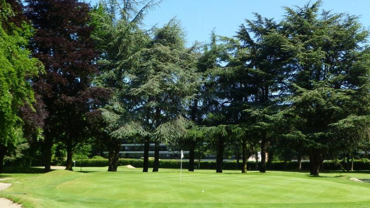 Green du Golf du Sart bordé de bunkers et de grands arbres, avec drapeau au centre.