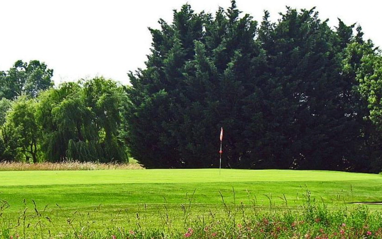 Green avec un drapeau devant une rangée d’arbres. — Golf public du Nivernais