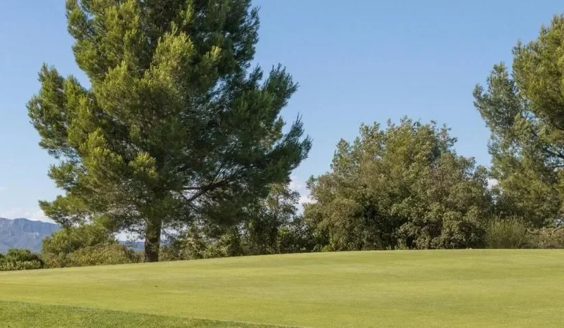 Green bordé de pins — Golf Ouest Provence Miramas