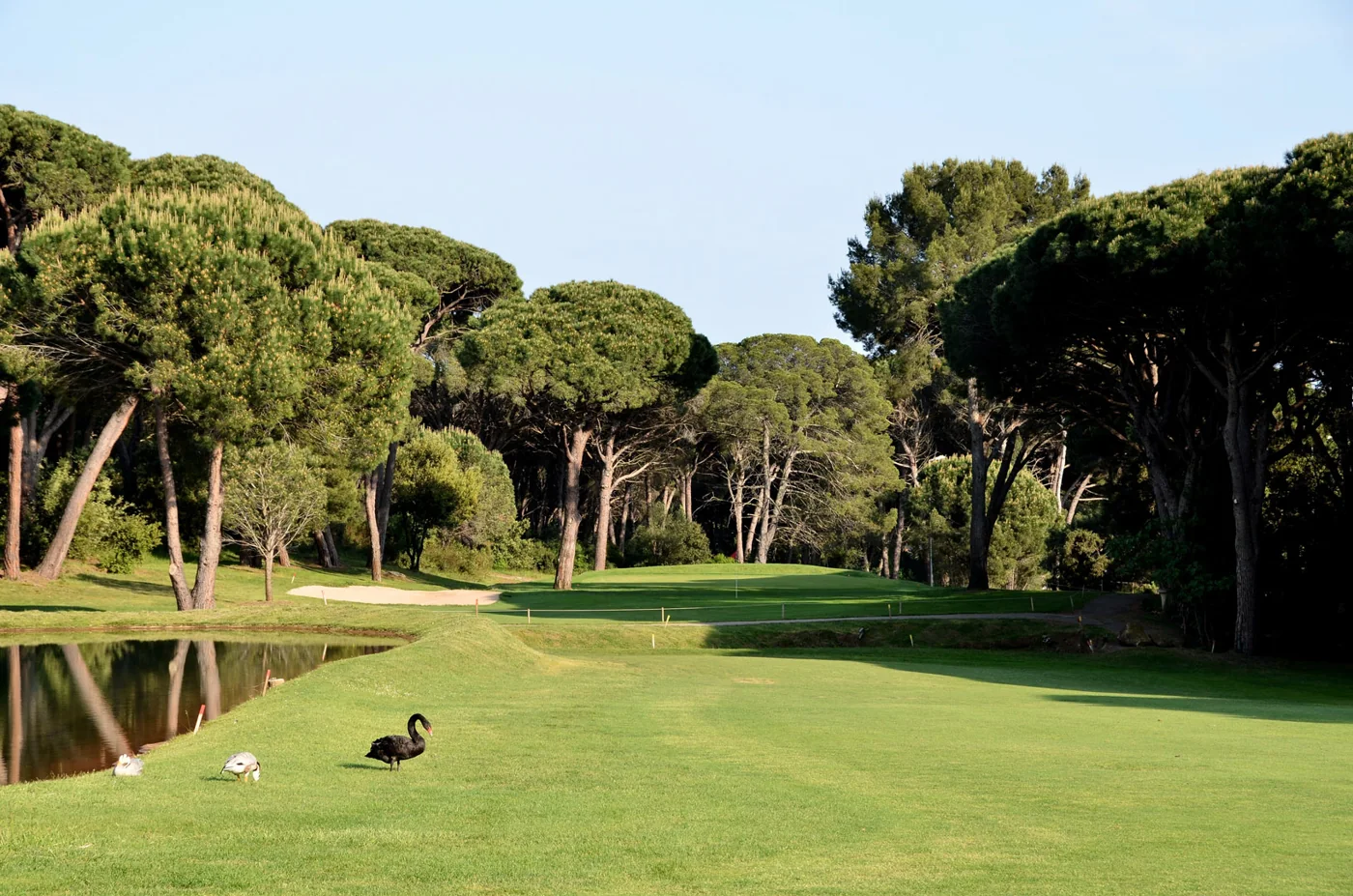 Plan d’eau au bord du parcours — Golf de Valescure
