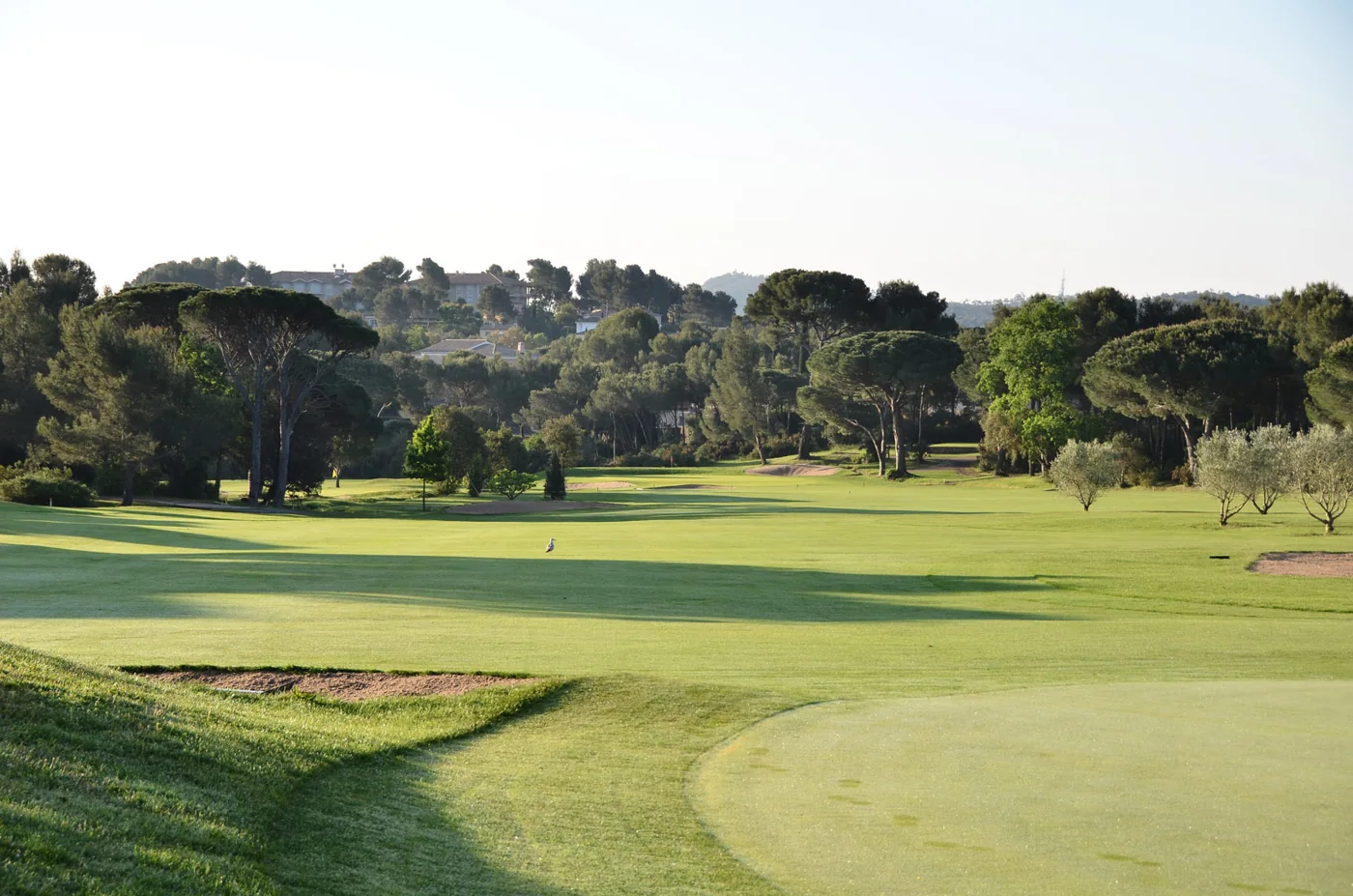Green et relief boisé — Golf de Valescure