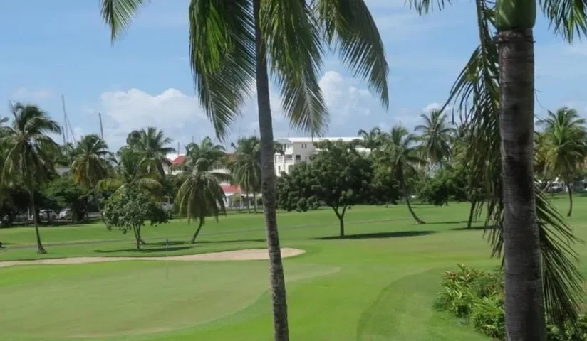 Fairway bordé de palmiers — Golf international de Saint-François