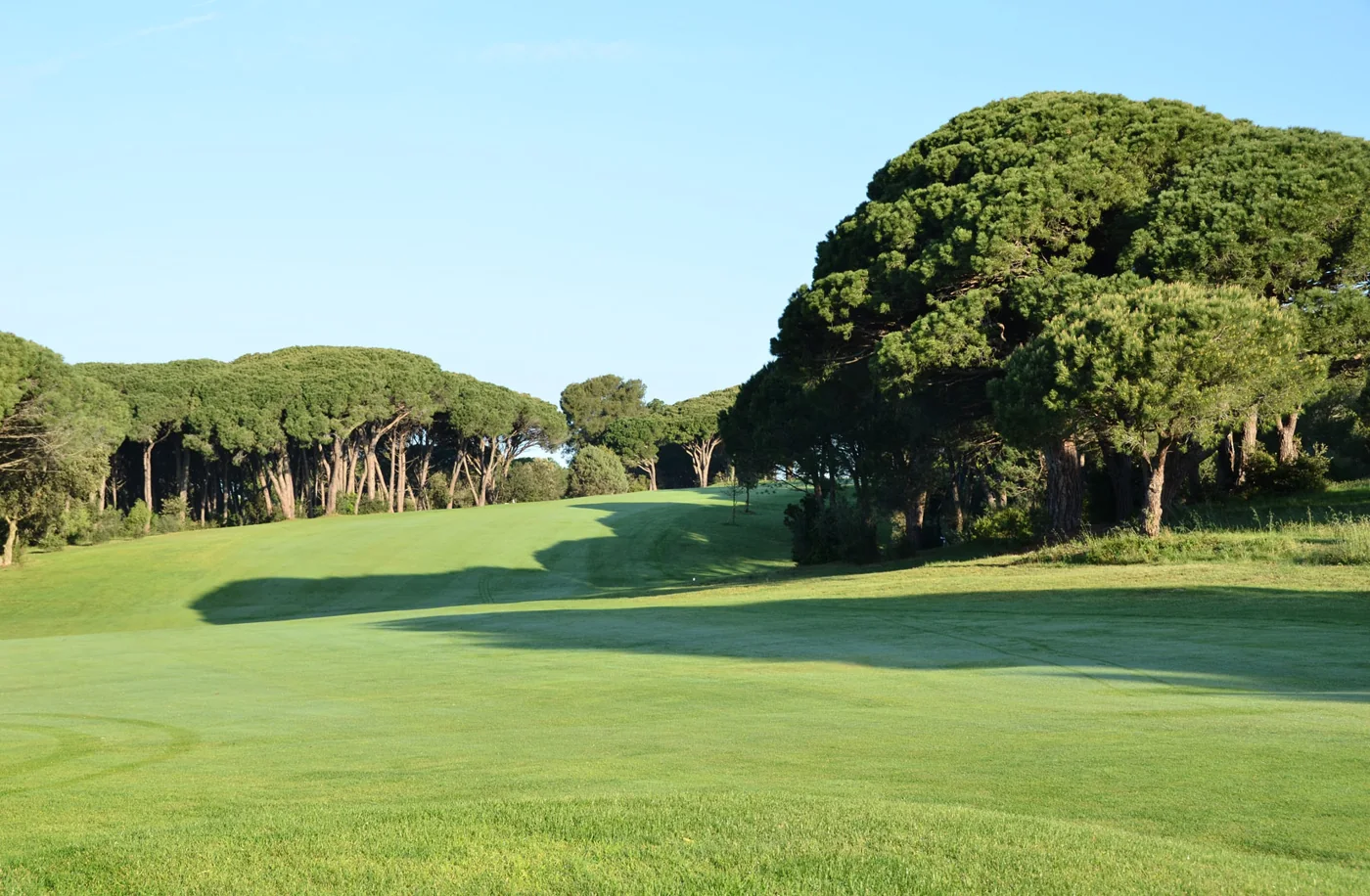 Fairway entre les pins parasols — Golf de Valescure