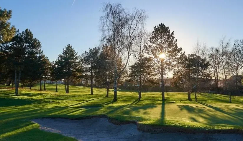 Lumière rasante entre les arbres du parcours — Golf Bordelais