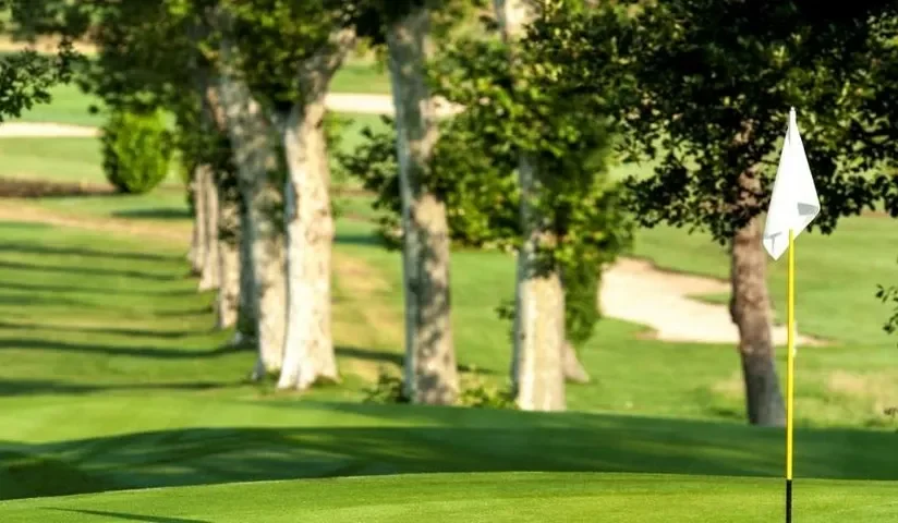 Drapeau et green bordé d’arbres — Golf du Domaine de Saint-Clair