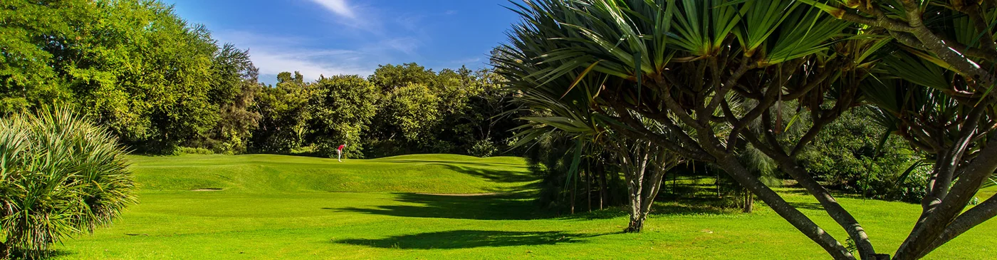 Fairway bordé de végétation tropicale — Golf de Bourbon