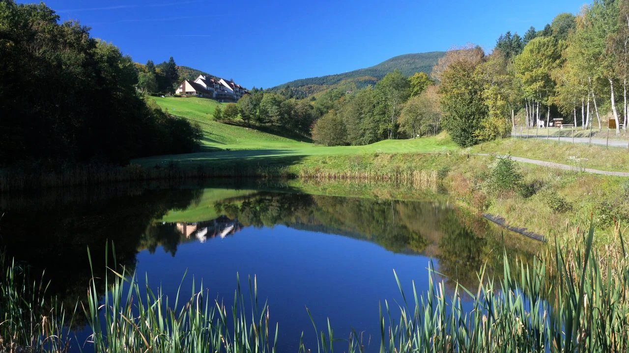 Plan d’eau et relief du golf d’Ammerschwihr