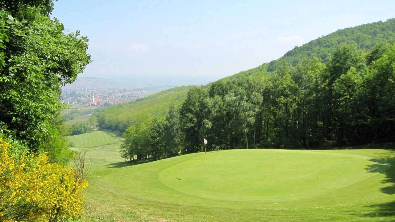 Green et panorama du golf d’Ammerschwihr