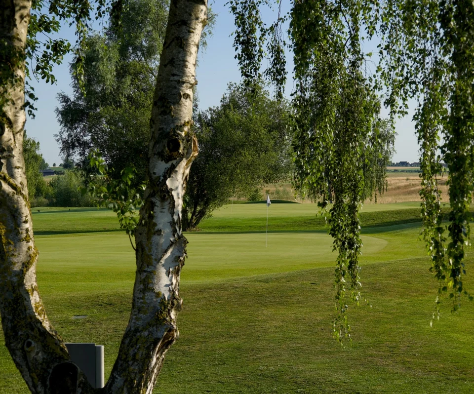 Green derrière les arbres au Golf du Cambrésis