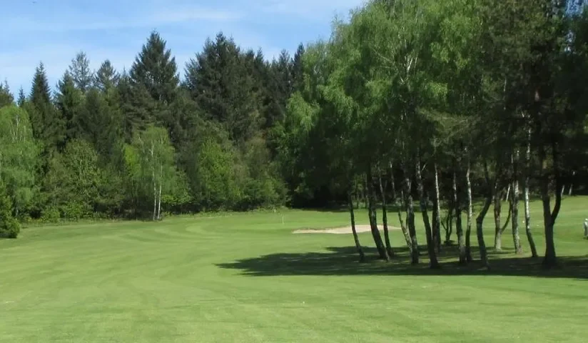 Fairway bordé de conifères — Golf du Coiroux — Aubazine