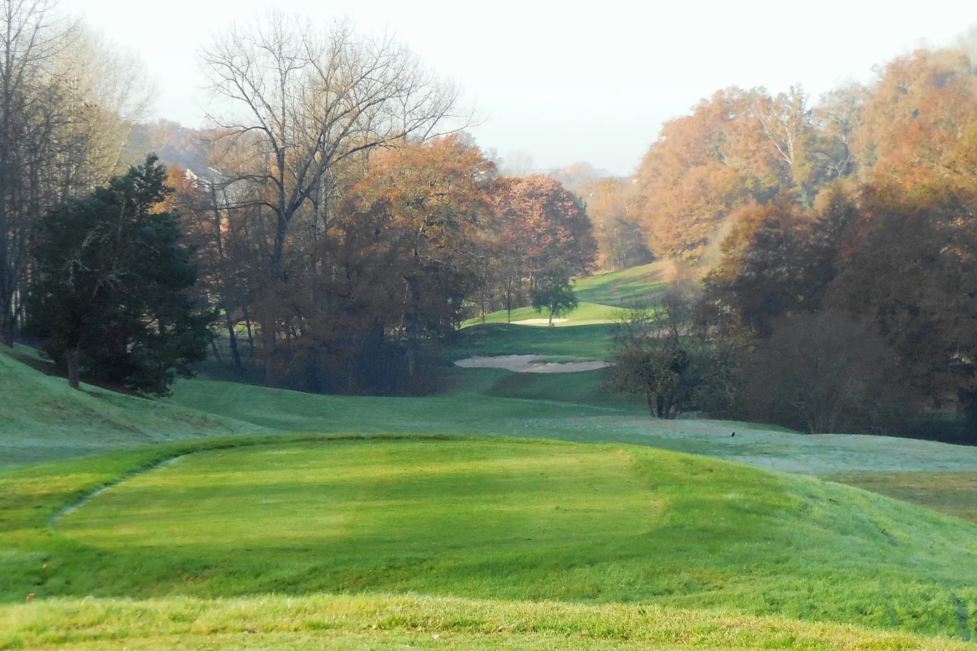 Départ et allée boisée en automne — Golf de Brive-Planchetorte