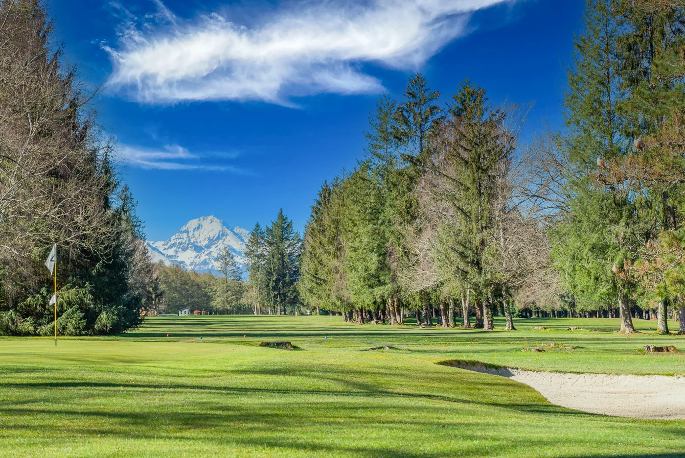 Fairway boisé face aux montagnes — Golf de Lannemezan