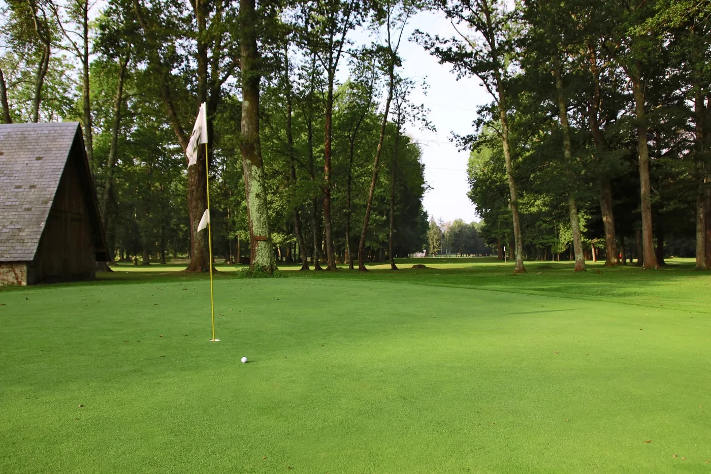 Green entouré de grands arbres — Golf de Lannemezan