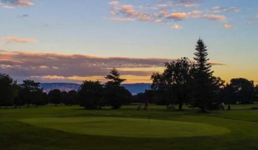 Silhouettes des arbres au coucher du soleil — Golf de Gonville