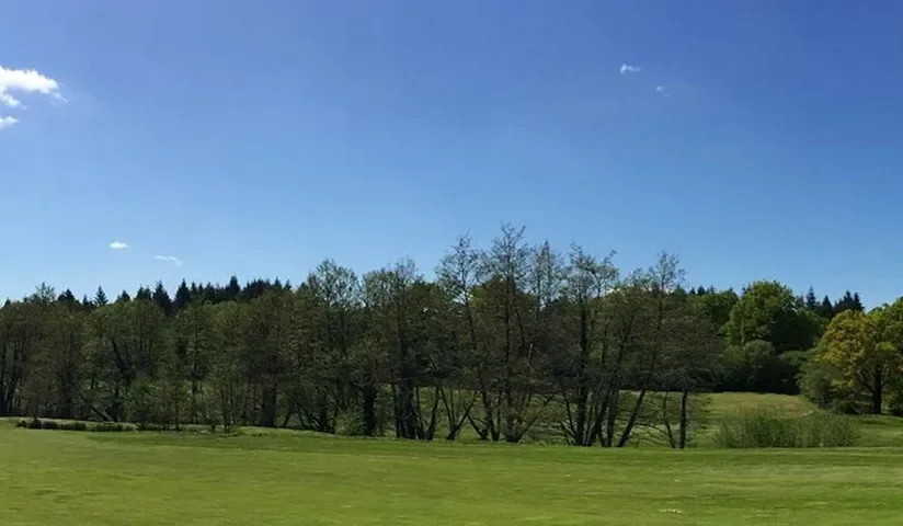 Allée de jeu bordée d’arbres — Golf de Mortemart