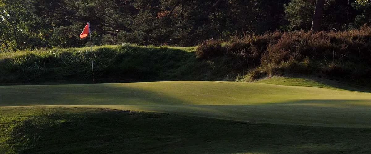 Green et drapeau au milieu de la végétation — Golf de Morfontaine