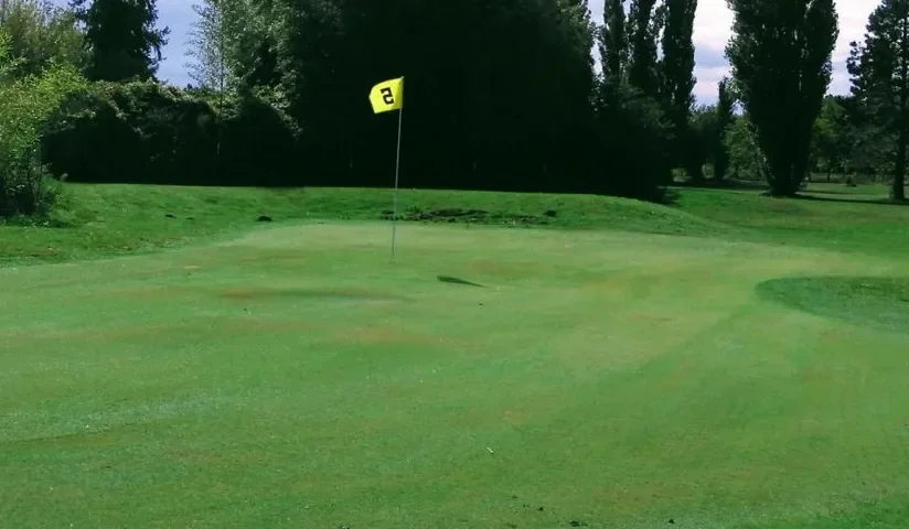 Green avec drapeau devant les arbres — EasyGolf du Bourget