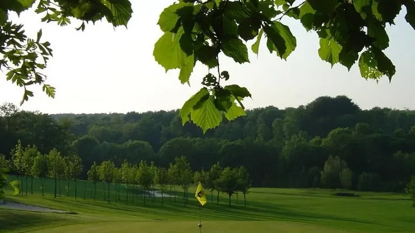 Golf de Champagne — vue du parcours sous les arbres