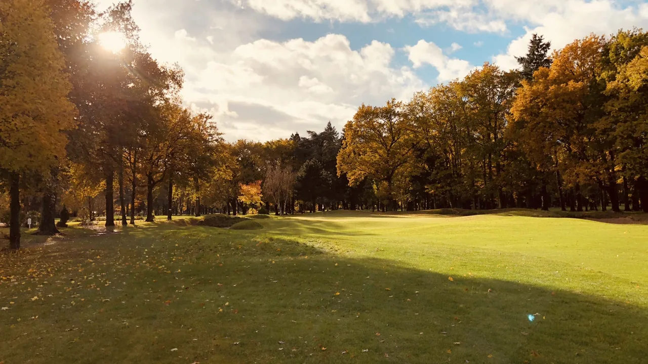 Golf Lys Chantilly — fairway en lisière de bois à l'automne