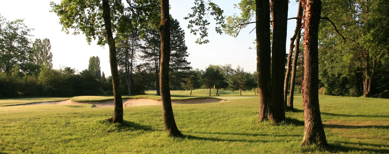 Green et bunker sous les pins au Golf Club de Lyon