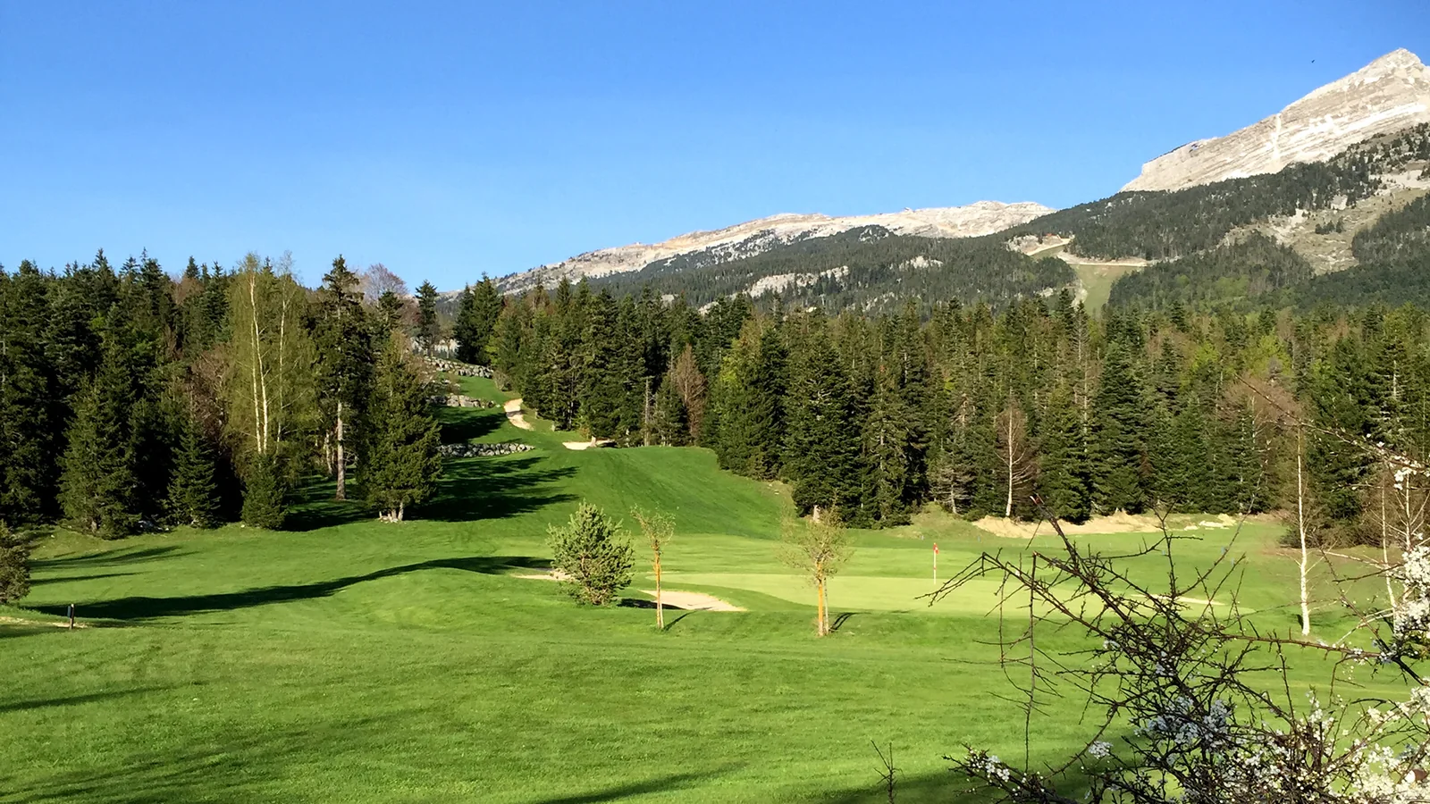 Fairway de Corrençon entre forêt et montagnes