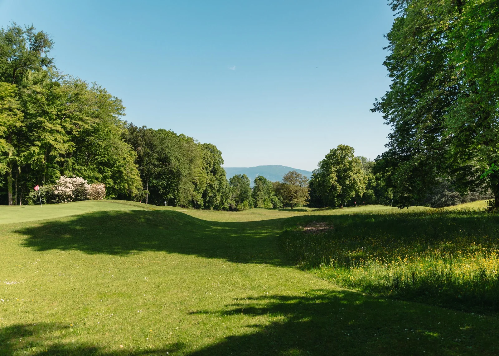 Fairway arboré du Golf de Dolomieu