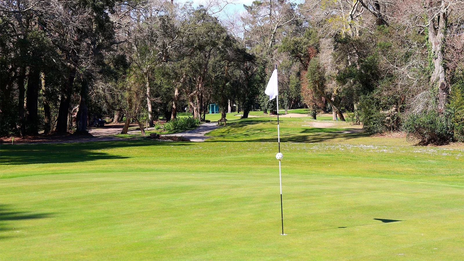 Green du trou 2 du Golf Club d’Hossegor, bordé d’arbres.